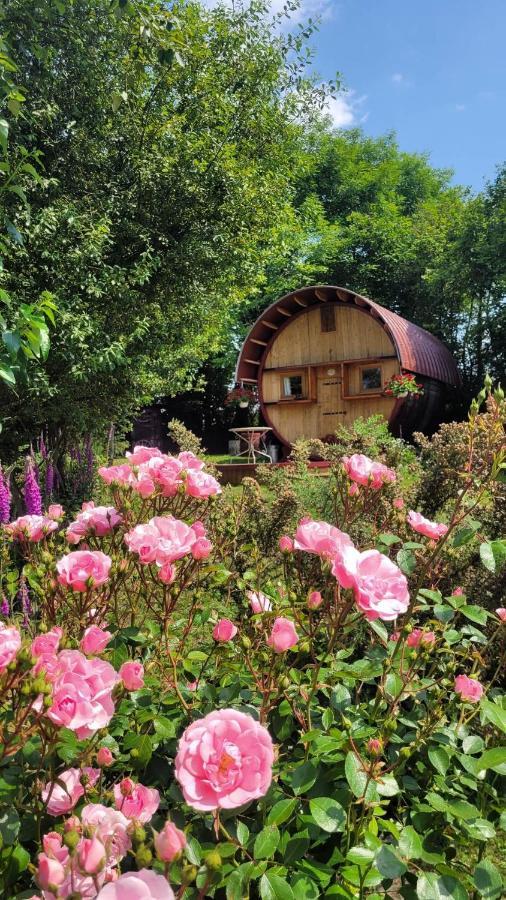 L'authentique Tonneau A Cidre D'emma *